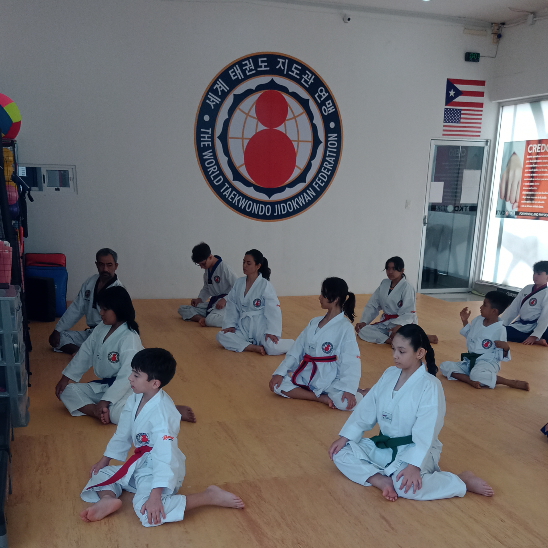 Taekwondo